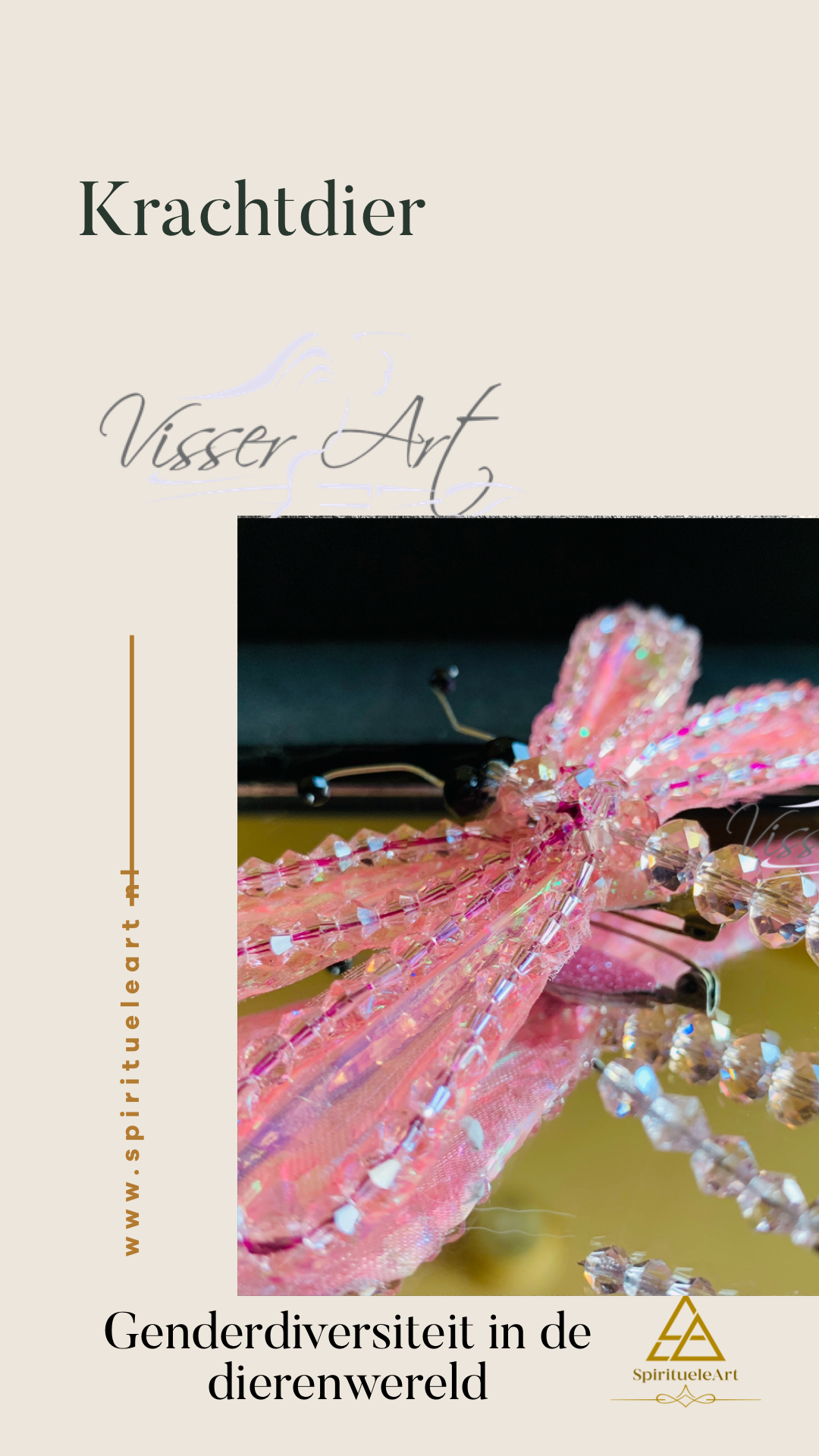 Gender diversiteit in de dierenwereld /Expositie - Image 16