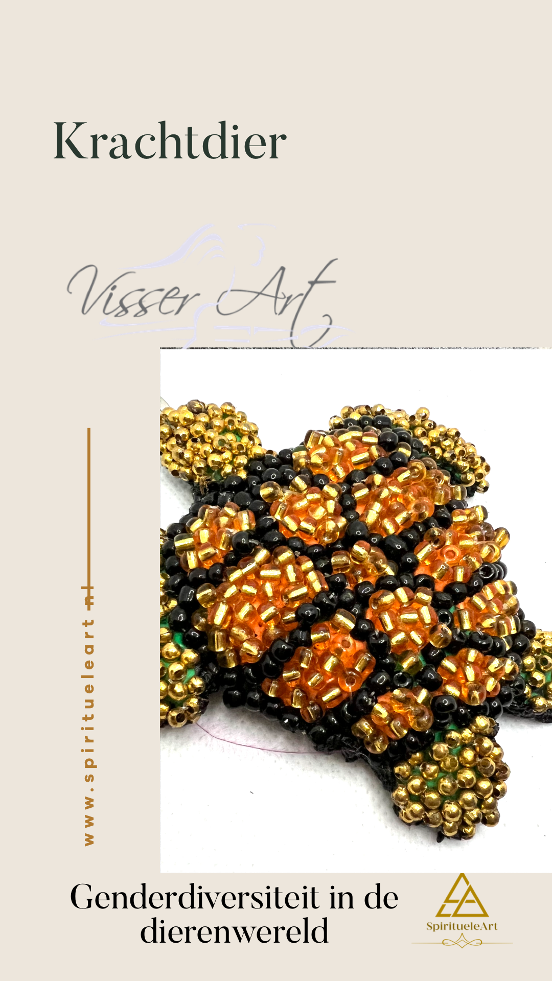 Gender diversiteit in de dierenwereld /Expositie - Image 13