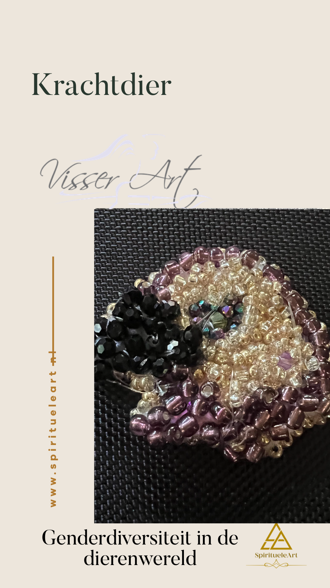 Gender diversiteit in de dierenwereld /Expositie - Image 11