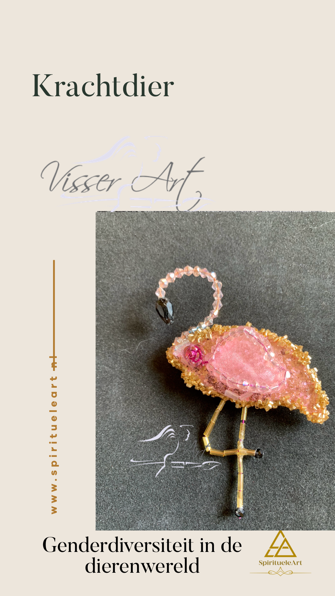 Gender diversiteit in de dierenwereld /Expositie - Image 2